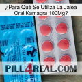 ¿Para Qué Se Utiliza La Jalea Oral Kamagra 100Mg new14